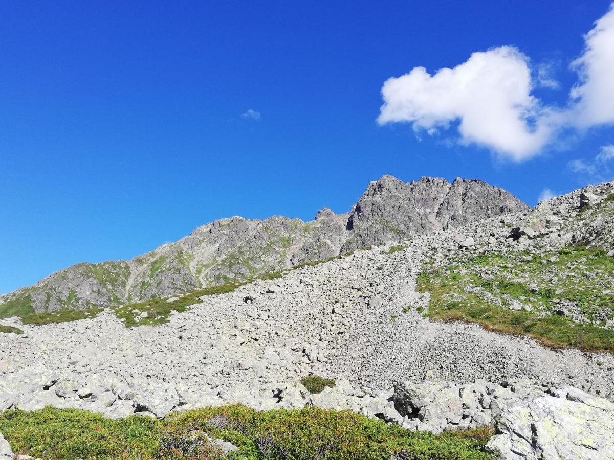 Chambres et Tables d'Hôtes Le Choton à Nono - Col du Joly Beaufortain Hauteluce Exterior foto
